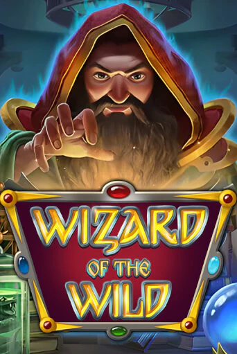 Wizard of the Wild играть онлайн | Казино ПокерДом без регистрации